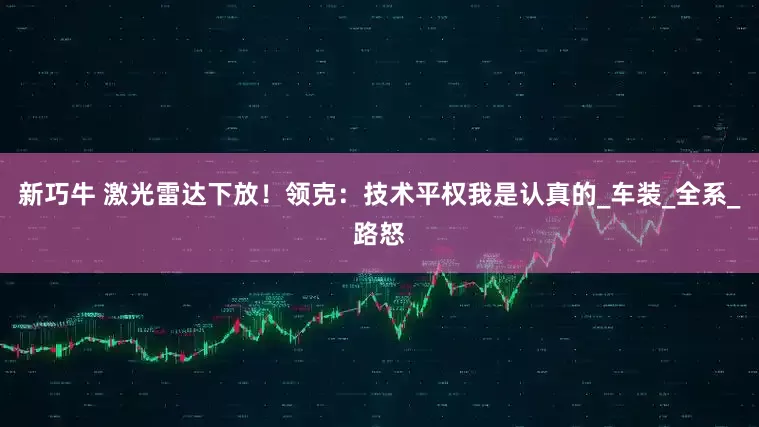 新巧牛 激光雷达下放！领克：技术平权我是认真的_车装_全系_路怒